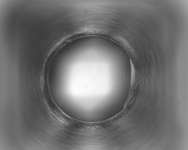 X0000073480488200608140820