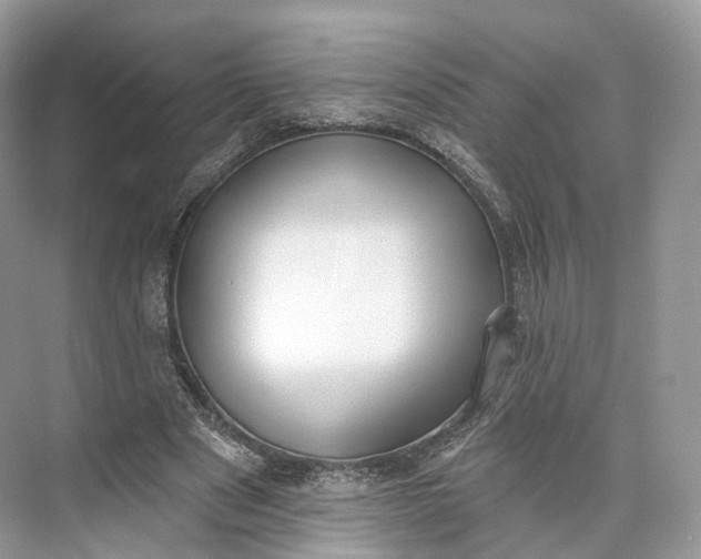 X0000073480489200608140820