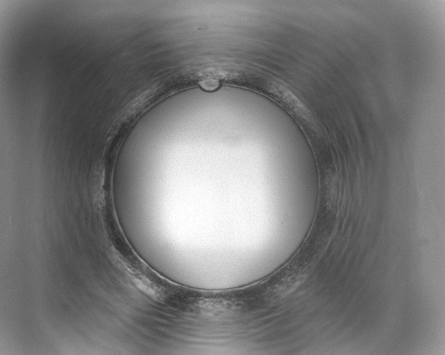 X0000073480490200608140820