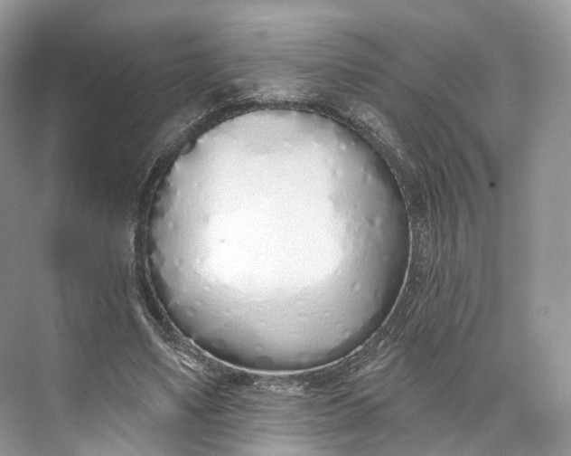 X0000073480491200608140820