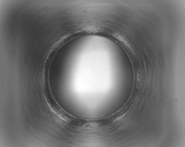 X0000073480492200608140820