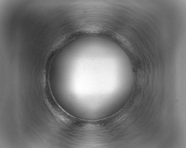 X0000073480494200608140820