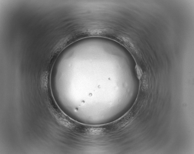 X0000073480495200608140820