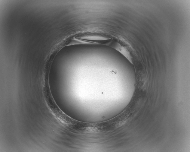 X0000073480496200608140820