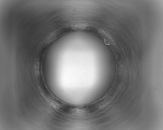 X0000073480498200608140820