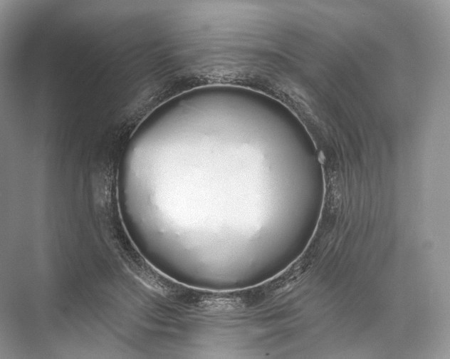 X0000073480499200608140820