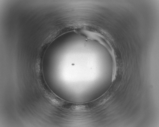 X0000073480501200608140820