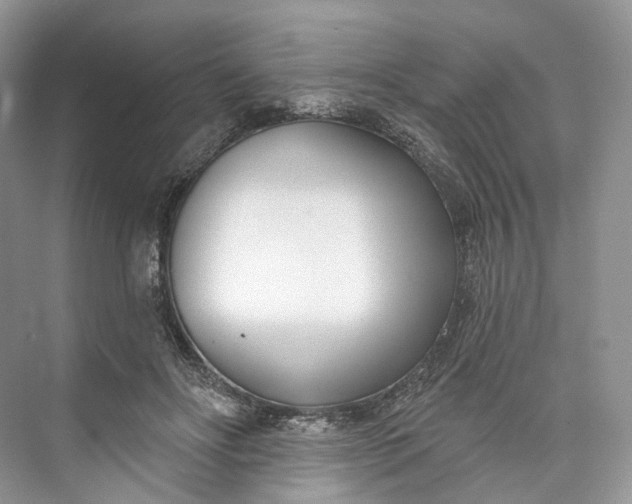 X0000073480502200608140820