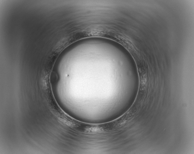 X0000073480503200608140820