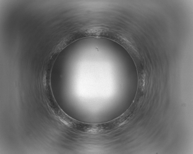 X0000073480504200608140820