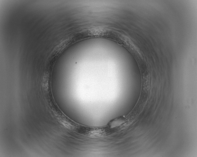 X0000073480505200608140820