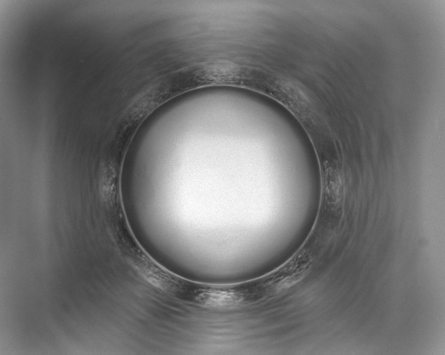 X0000073480507200608140820