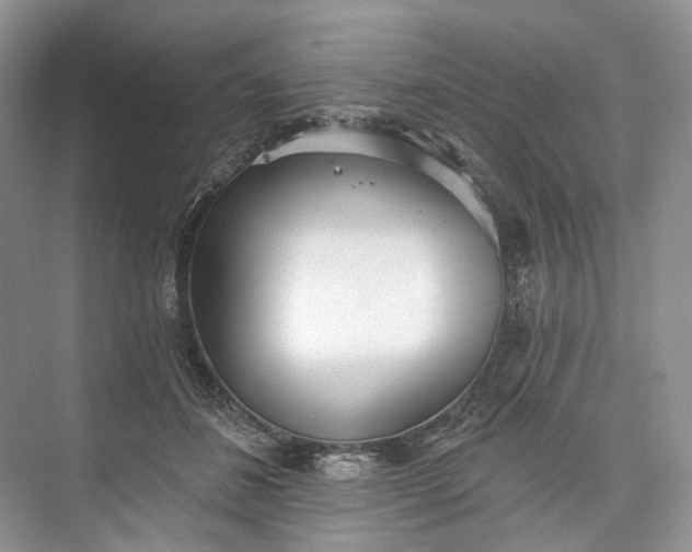 X0000073480508200608140820