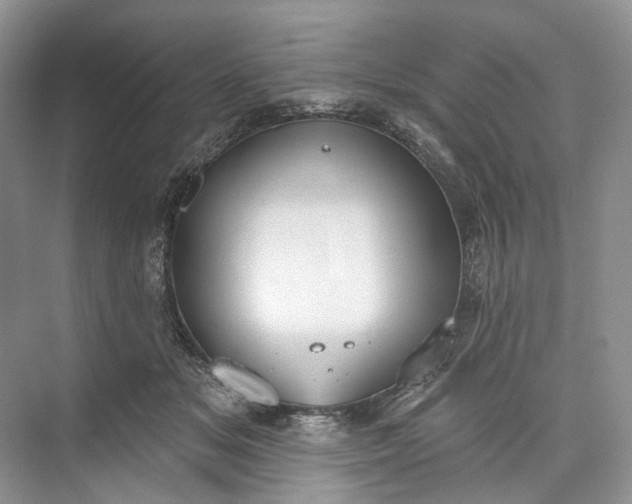 X0000073480509200608140820