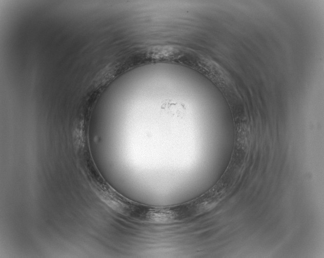 X0000073480510200608140820