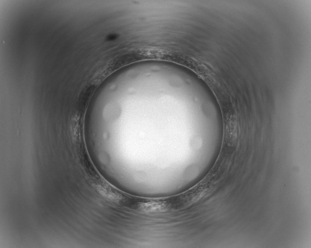 X0000073480511200608140820