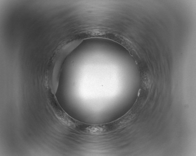 X0000073480512200608140820