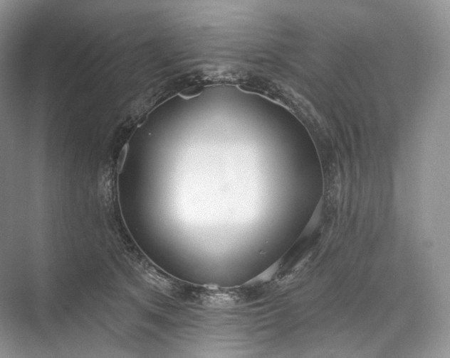 X0000073480513200608140819