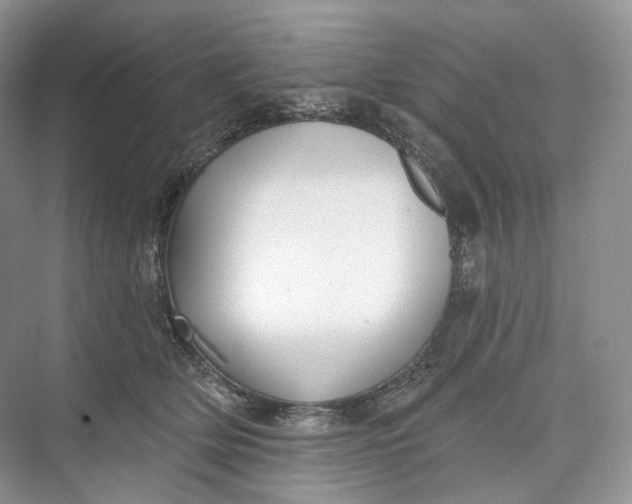 X0000073480514200608140819