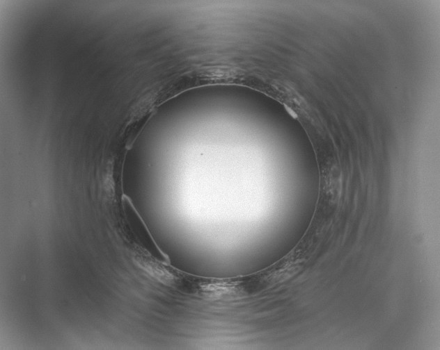 X0000073480516200608140819