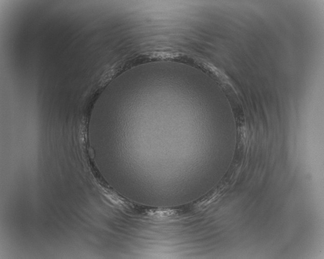 X0000073480517200608140819