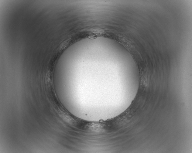 X0000073480518200608140819