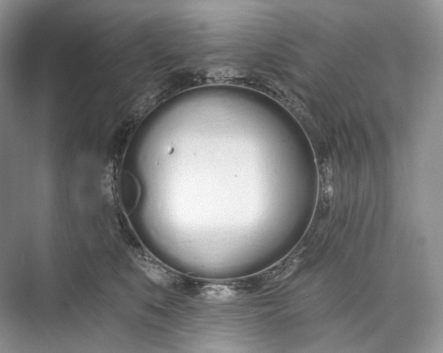 X0000073480519200608140819