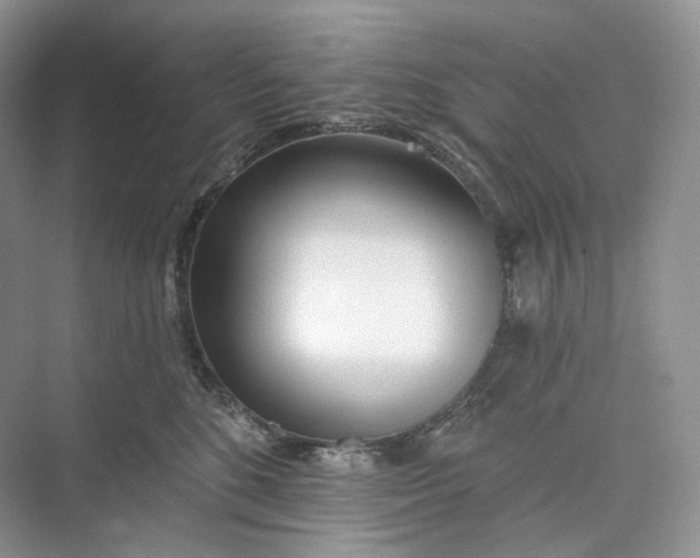 X0000073480520200608140819