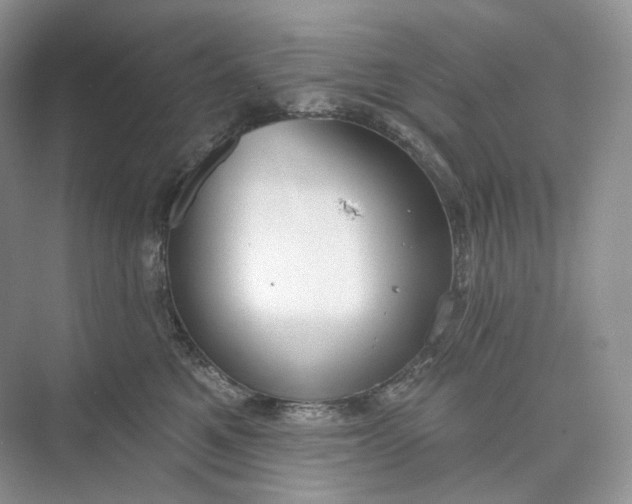 X0000073480521200608140819