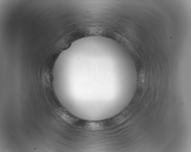 X0000073480522200608140819