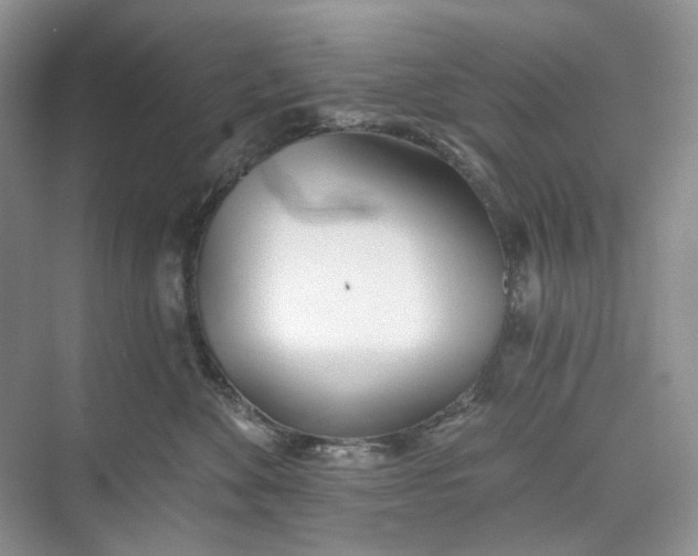 X0000073480524200608140819