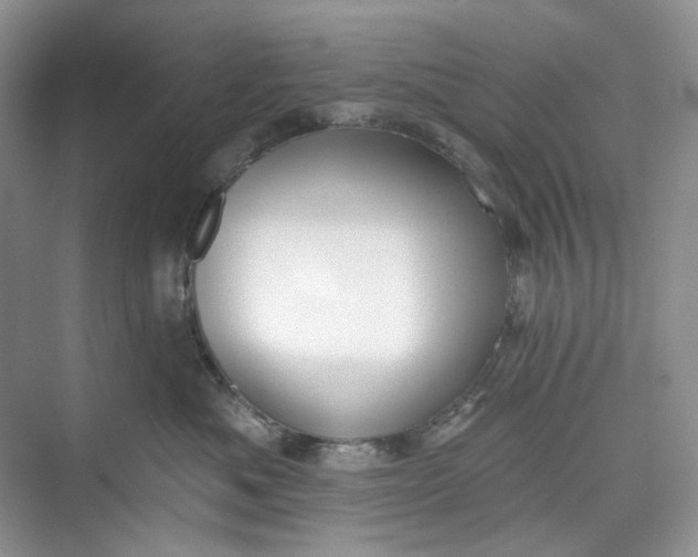 X0000073480525200608140819