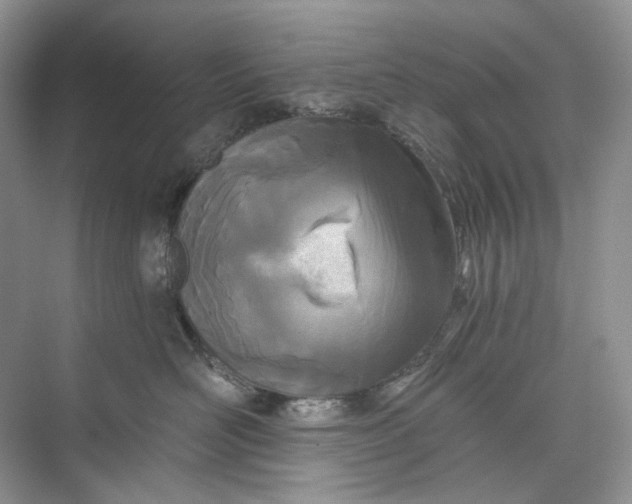 X0000073480526200608140819