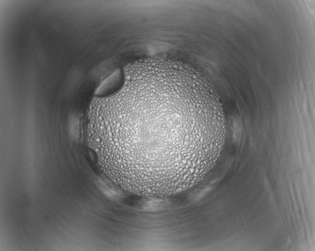 X0000073480527200608140819