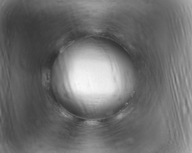 X0000073480528200608140819