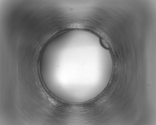 X0000073480529200608140818