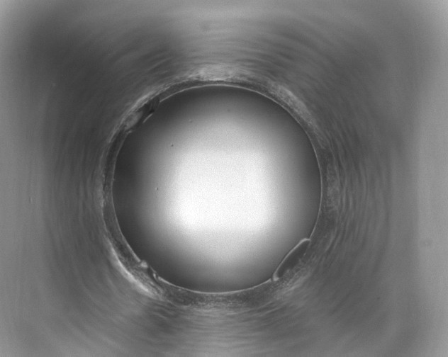 X0000073480530200608140818