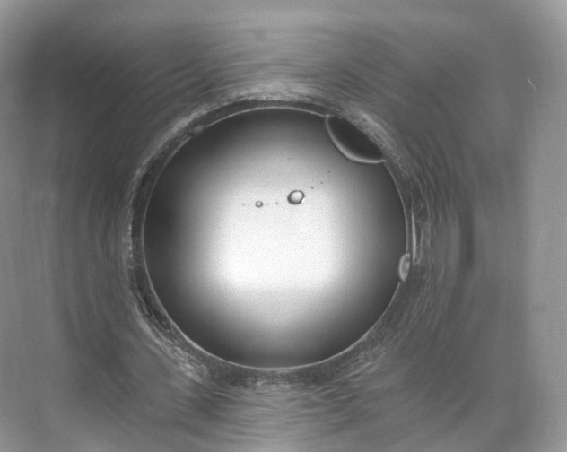 X0000073480531200608140818