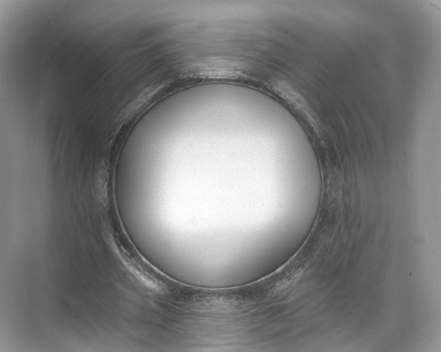 X0000073480533200608140818