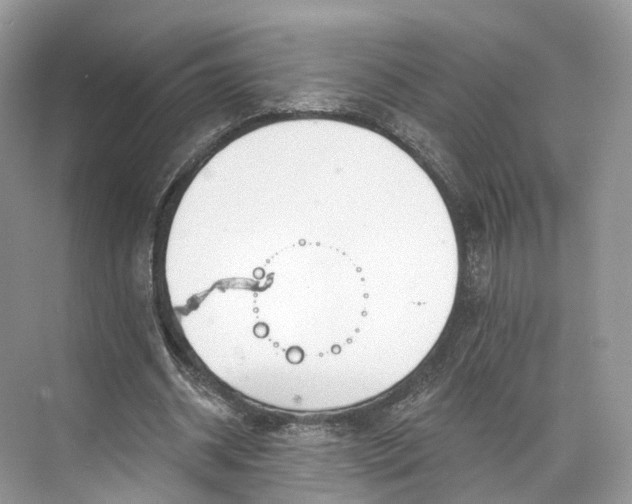 X0000073480534200608140819