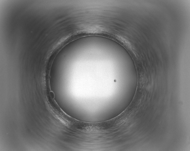 X0000073480535200608140819