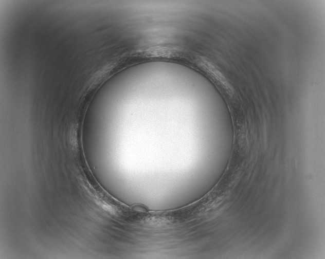 X0000073480537200608140819