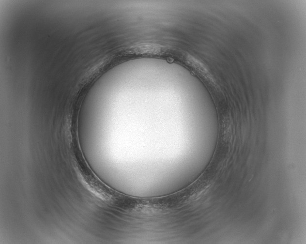 X0000073480538200608140819