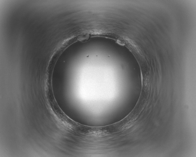 X0000073480540200608140819