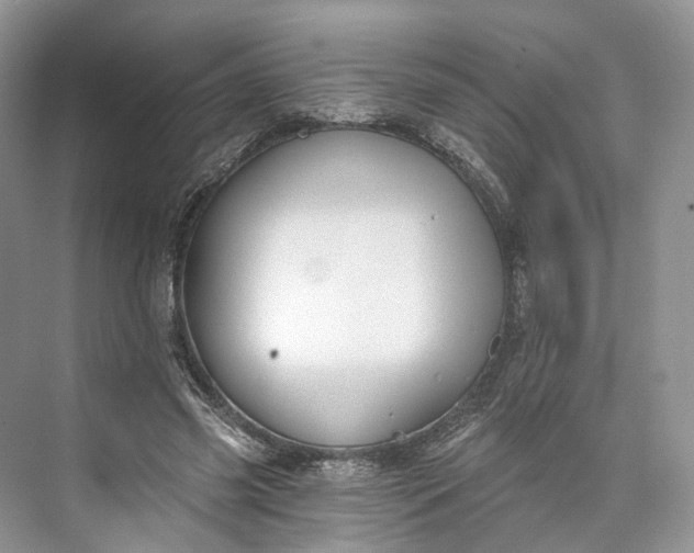 X0000073480541200608140819