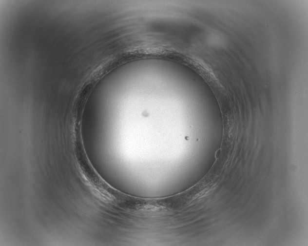 X0000073480542200608140819