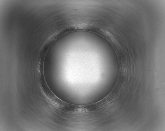 X0000073480543200608140819