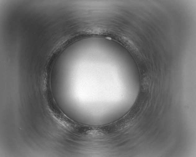 X0000073480544200608140819