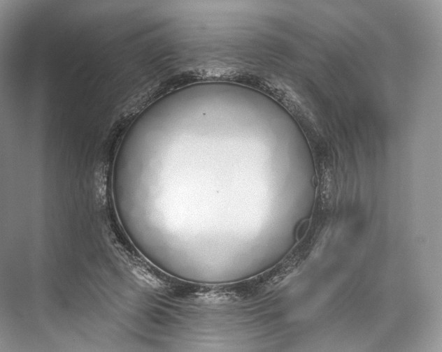 X0000073480545200608140819