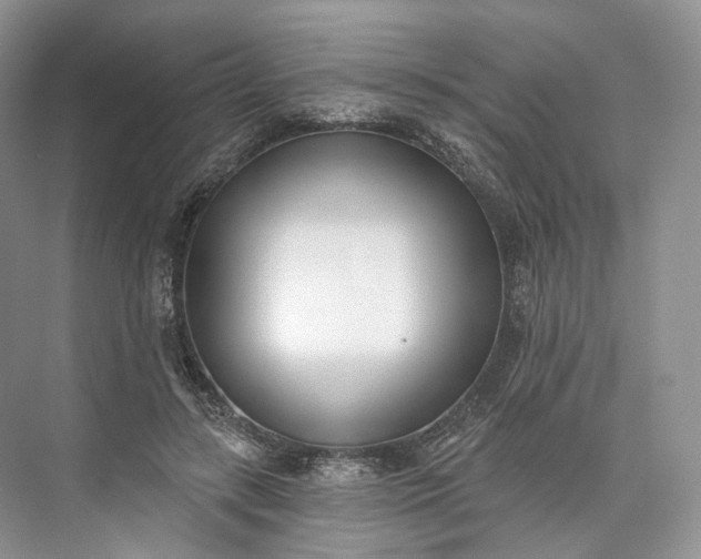 X0000073480547200608140819